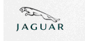Jaguar.gif